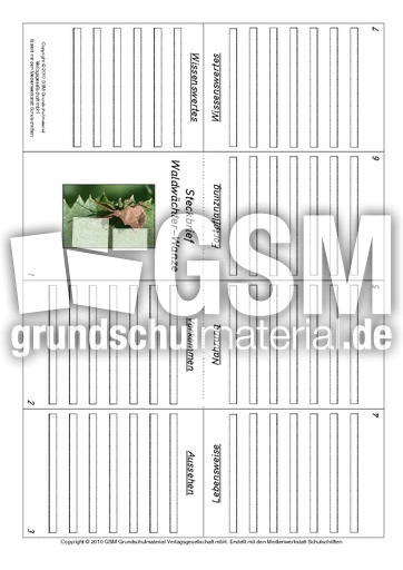 Faltbuch-Waldwächter-Wanze.pdf
